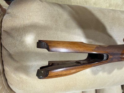 MX8 - Image 6 of 6