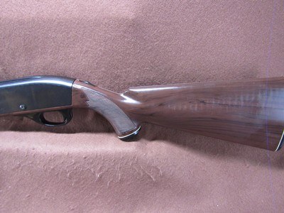 Remington Nylon 66 22 LR Only Rear Tube Fed Semi 19.5