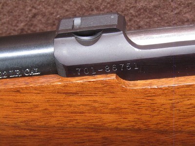 Ruger 77/22 22 LR Bolt 20