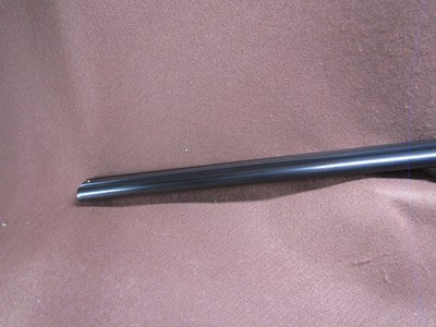 Stoeger/ER Amantino Uplander 20 Ga 3