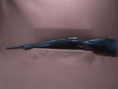 Weatherby Vanguard 22-250 Rem Bolt 20