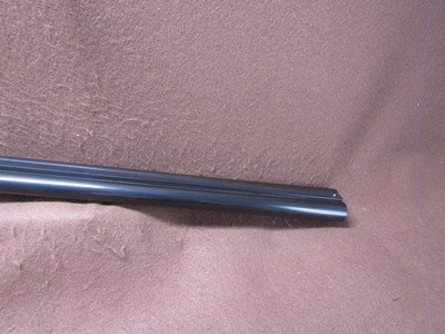 Stoeger Uplander 12 Ga 3