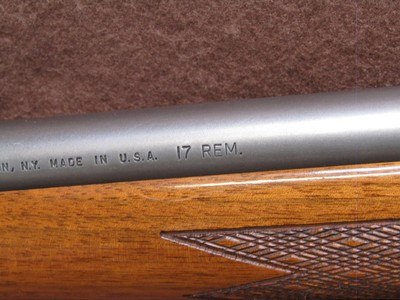 Remington 700 BDL 17 Rem Bolt 24