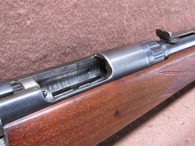 Savage Arms 342 22 Hornet Bolt 22
