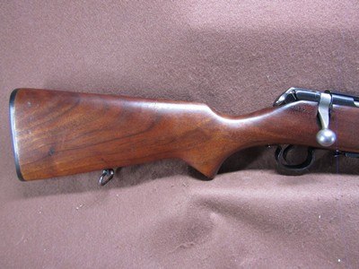 Savage Arms 342 22 Hornet Bolt 22