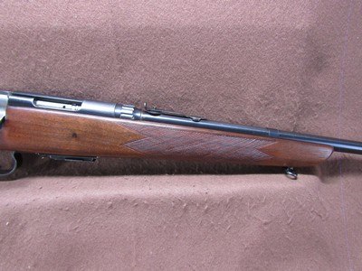 Savage Arms 342 22 Hornet Bolt 22