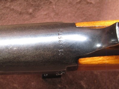 Savage Arms 99E 308 Win Lever 20