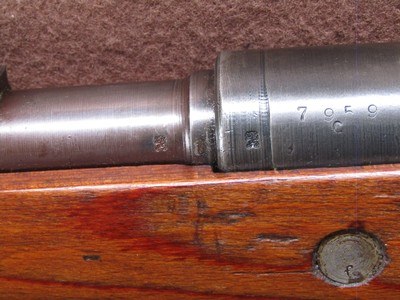 Czech Mauser 98 8 mm Bolt 24
