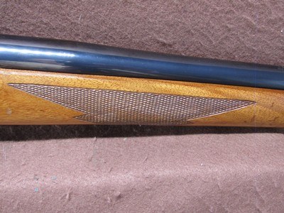 Ruger M77 Varmint 6 mm Rem Bolt 24