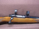 Ruger M77 Varmint 6 mm Rem Bolt 24