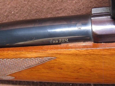 Ruger M77 Varmint 6 mm Rem Bolt 24