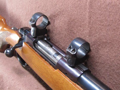 Ruger M77 Varmint 6 mm Rem Bolt 24