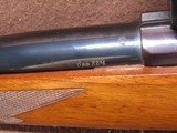Ruger M77 Varmint 6 mm Rem Bolt 24