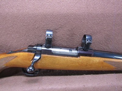 Ruger M77 Varmint 6 mm Rem Bolt 24
