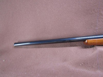 Ruger M77 Varmint 6 mm Rem Bolt 24