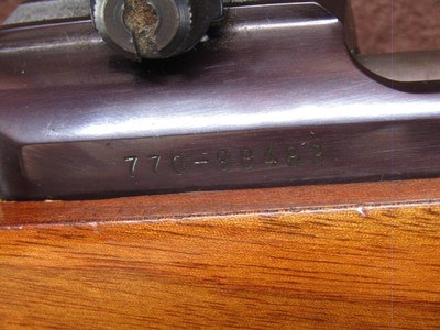 Ruger M77 Varmint 6 mm Rem Bolt 24
