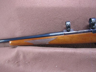 Ruger M77 Varmint 6 mm Rem Bolt 24