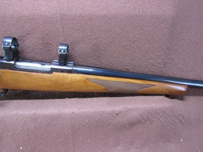 Ruger M77 Varmint 6 mm Rem Bolt 24