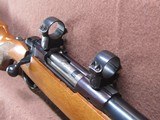 Ruger M77 Varmint 6 mm Rem Bolt 24