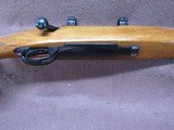 Ruger M77 Varmint 6 mm Rem Bolt 24