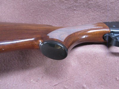 Remington 572 FM 22 S/L/LR Tube Fed Pump 21