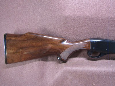 Remington 572 FM 22 S/L/LR Tube Fed Pump 21