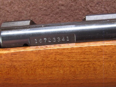 Marlin Firearms 783 22 Mag Bolt 21