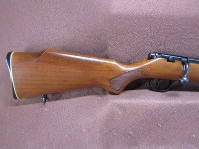Marlin Firearms 783 22 Mag Bolt 21