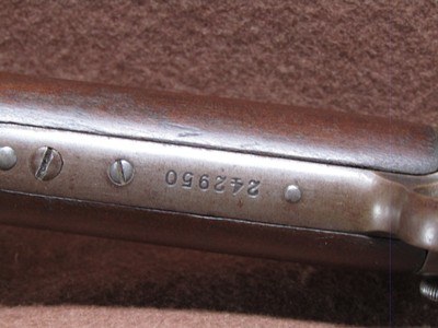 Winchester 1906 22 S/L/LR Pump 20