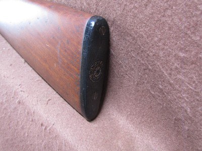 Winchester 1906 22 S/L/LR Pump 20