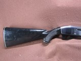 Remington Nylon 66 22 LR Apache Black/Chrome 19.5