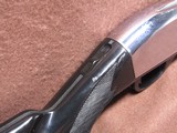 Remington Nylon 66 22 LR Apache Black/Chrome 19.5