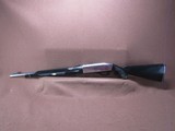 Remington Nylon 66 22 LR Apache Black/Chrome 19.5