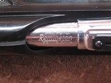Remington Nylon 66 22 LR Apache Black/Chrome 19.5