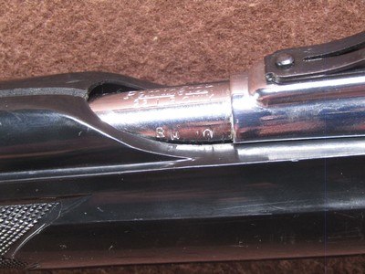 Remington Nylon 66 22 LR Apache Black/Chrome 19.5