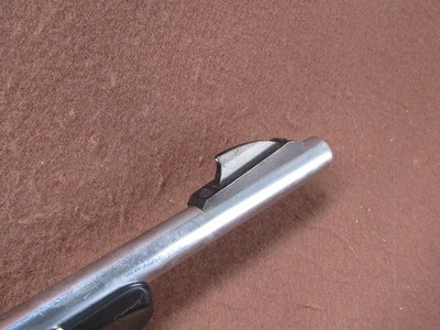 Remington Nylon 66 22 LR Apache Black/Chrome 19.5