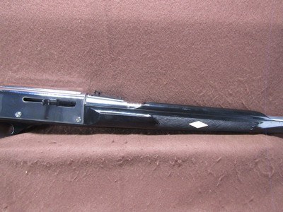 Remington Nylon 66 22 LR Apache Black/Chrome 19.5