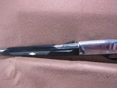 Remington Nylon 66 22 LR Apache Black/Chrome 19.5