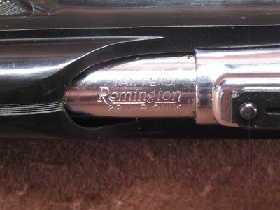 Remington Nylon 66 22 LR Apache Black/Chrome 19.5