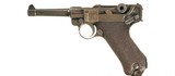 Erfurt Luger 9mm Blue Walnut 1920/1918 4