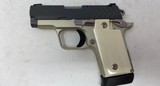 Springfield Armory 911 Platinum|Graphite Springfield 380 PG9109PG - 5 of 6
