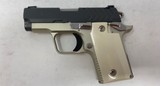 Springfield Armory 911 Platinum|Graphite Springfield 380 PG9109PG - 4 of 6