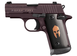 Sig Sauer P238 380 238-380-SPARTAN - 1 of 1