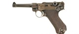 Erfurt Luger 9mm Blue Walnut 1920/1918 4
