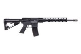 Diamondback Firearms DB15 300 DB15CCML300B 2243 - 1 of 1