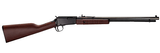 Henry Repeating Arms Pump Action 22 LR 20