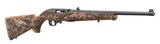 Ruger 10/22 22 LR TALO Mule Deer Walnut Stock 31161 - 1 of 1