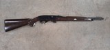 Remington Nylon 66 - 1 of 1