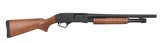 Winchester SXP Trench 12 Ga Pump Action Shotgun 18
