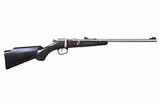 Henry Repeating Mini Bolt Youth 22 LR Black Synthetic Stainless Steel H005 - 1 of 1